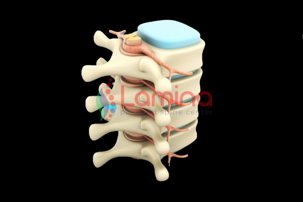 Sistem saraf dan tulang belakang perlu gizi yang cukup